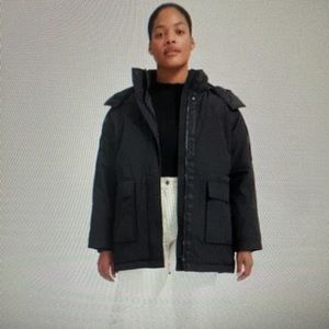 Everlane renew parka